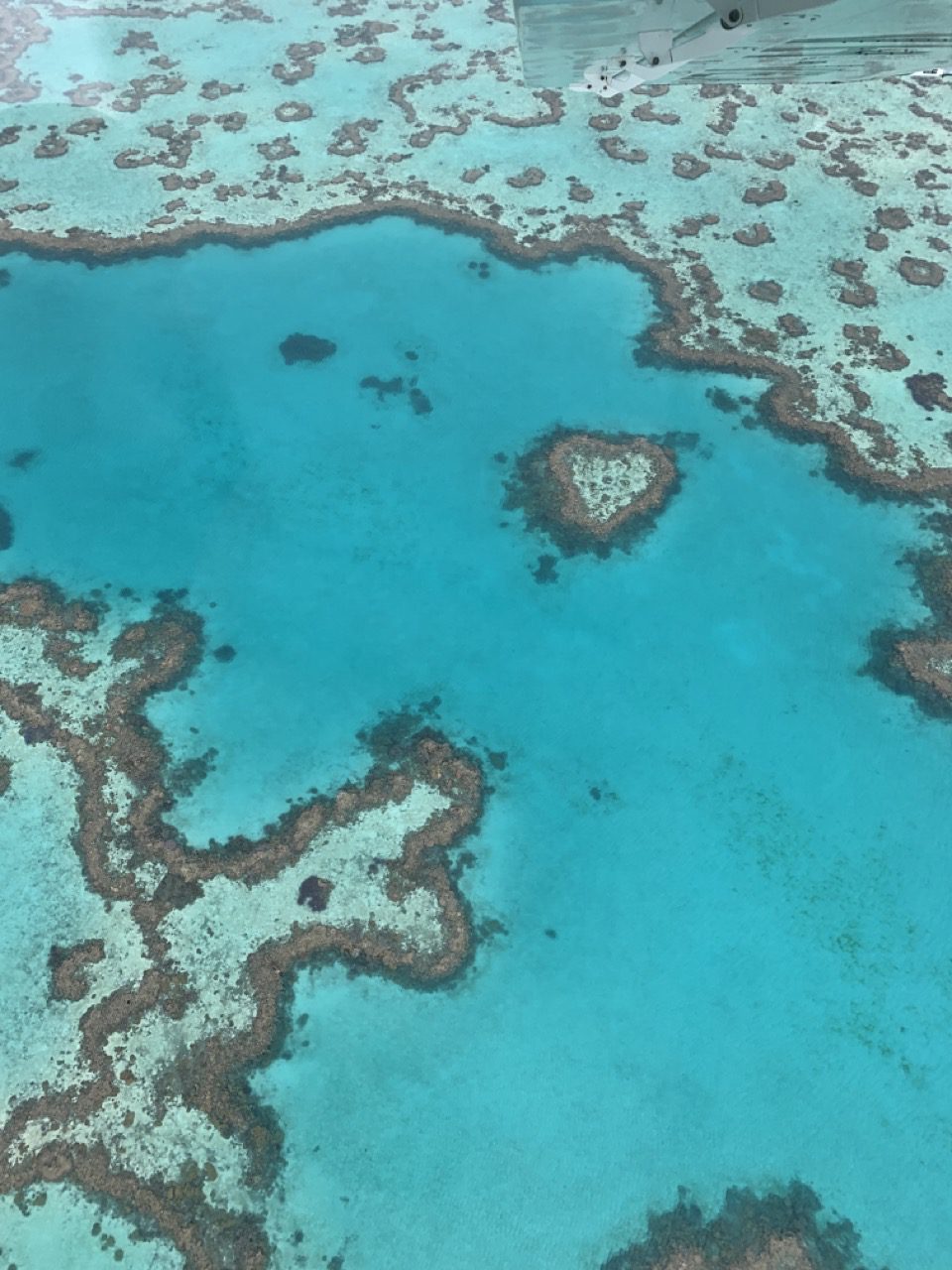 Great Barrier Reef bij de Whitsundays
