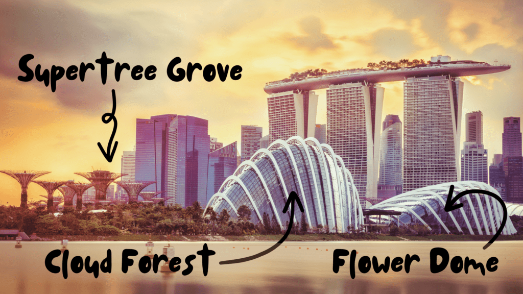 Supertree Grove, Cloud Forest, Flower Dome