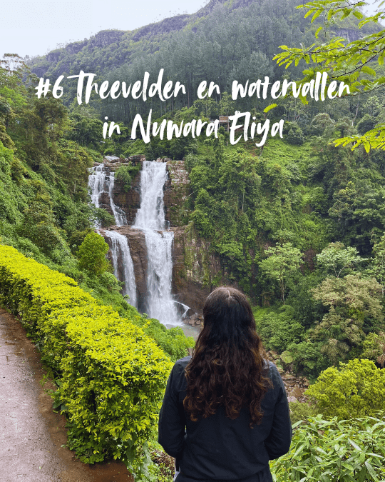 Nuwara Eliya