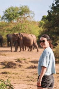 Reis route Sri Lanka