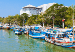 Negombo wat te doen Negombo wat te doen